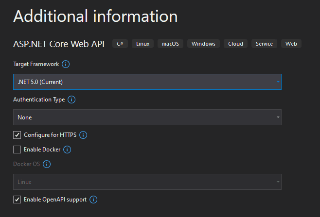 Additional information for project in Visual Studio